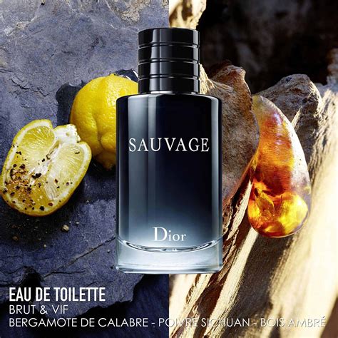 dior sauvage eau de parfum notes|dior sauvage 100 ml price.